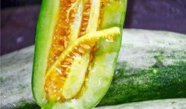 越南网红吃瓜是谁,“揭秘越南网红吃瓜背后的故事与影响力”