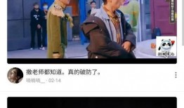 刘翰东爆料视频大全集最新,揭秘事件背后真相